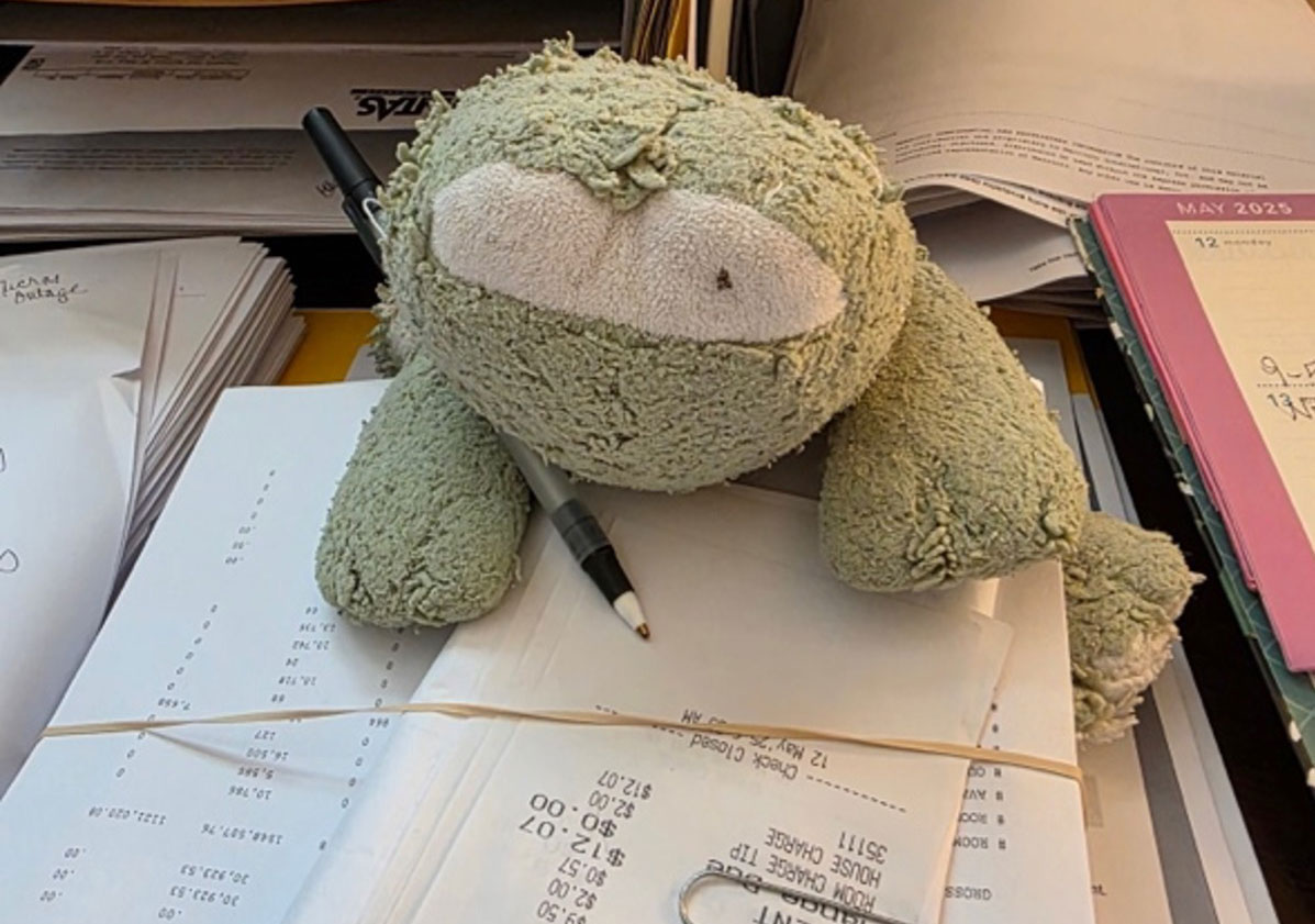 Froggy the traveling frog